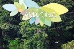 amazônia