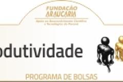 relevância