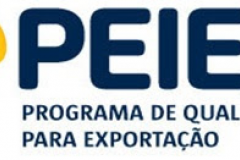 teste