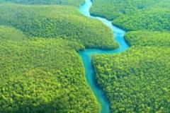 biodiversa