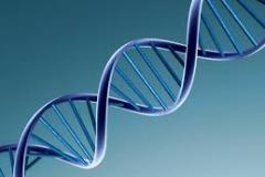 DNA