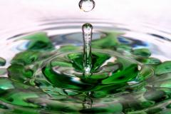 homeopatia
