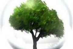 clima