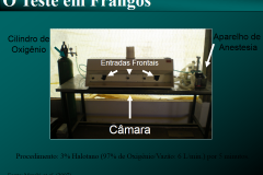 Projeto