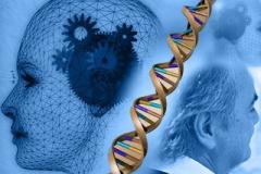 gene