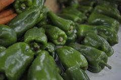 alimentos