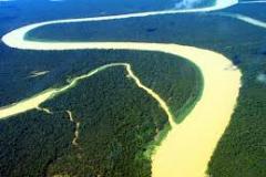 amazônia