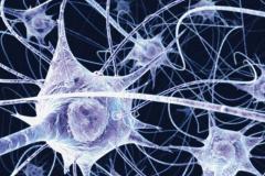 neurônio
