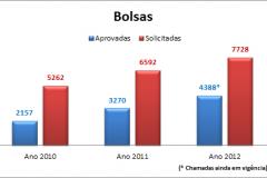 bolsas