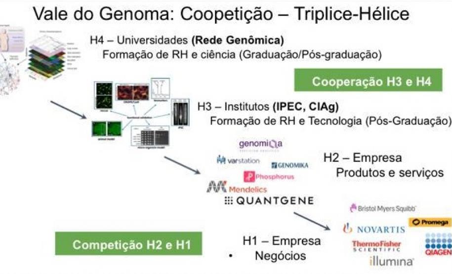 Genoma