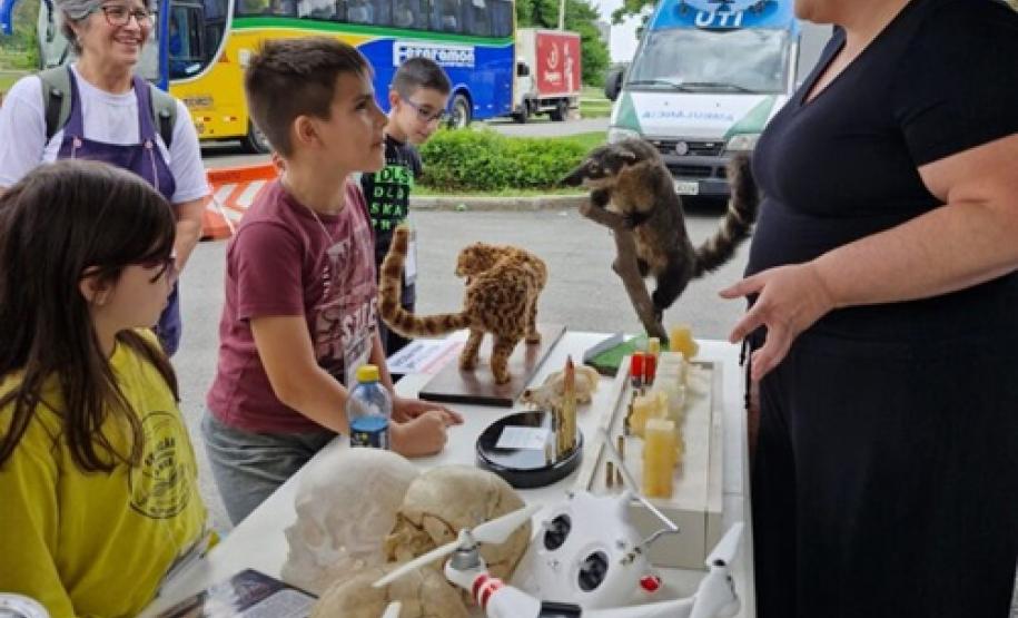feira