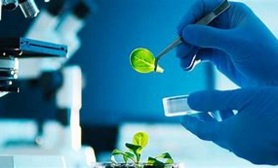 investimentos investimentos