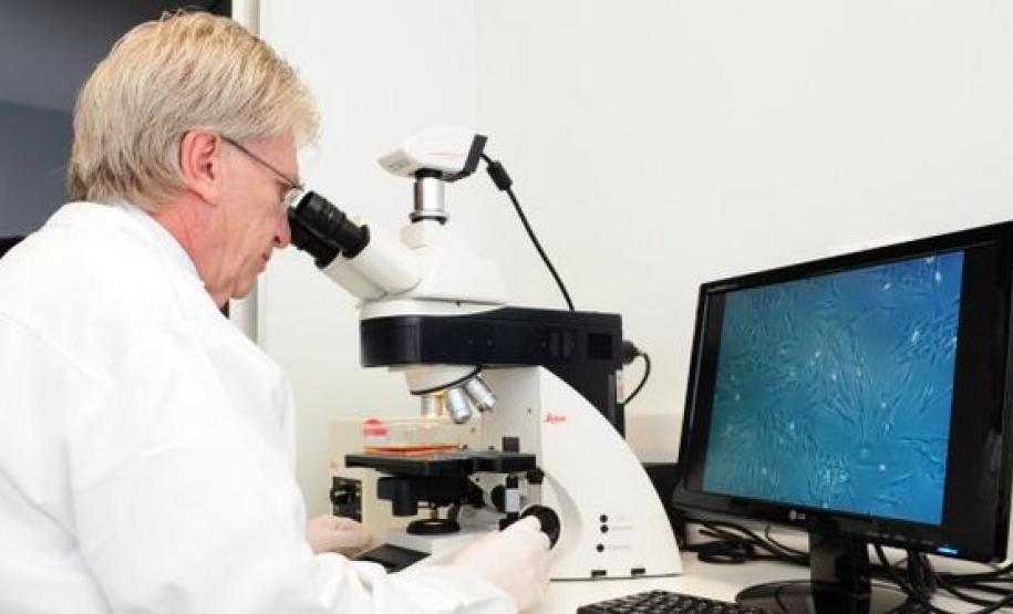 Pesquisador Dr. Paulo Brofman Pesquisador Dr. Paulo Brofman