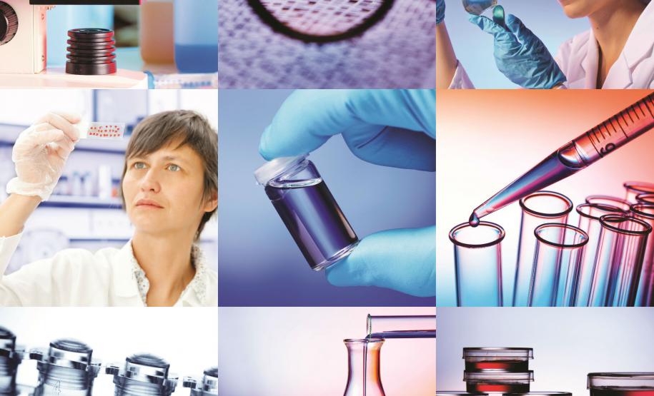 relatório relatório