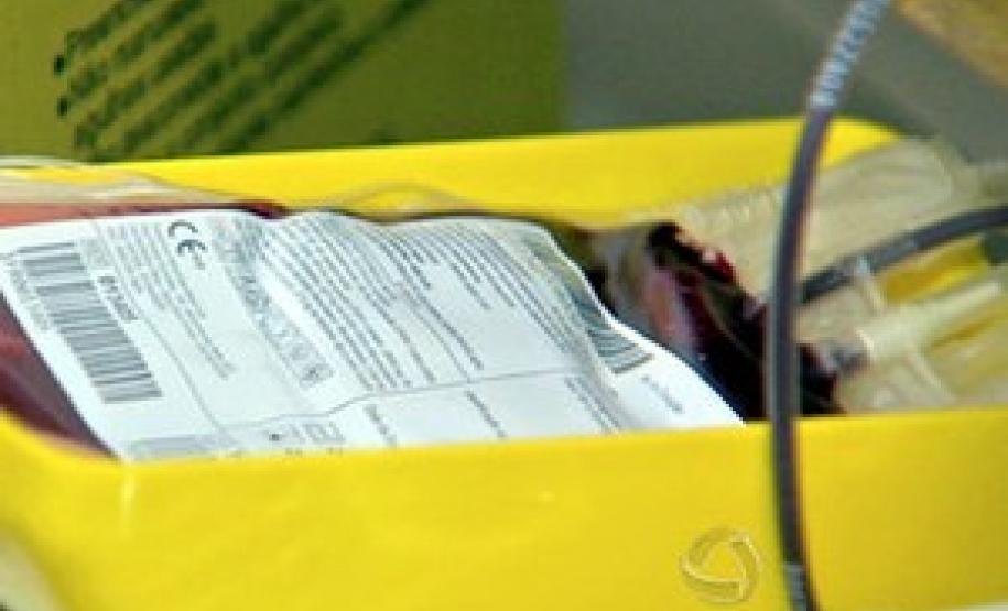 transplante transplante