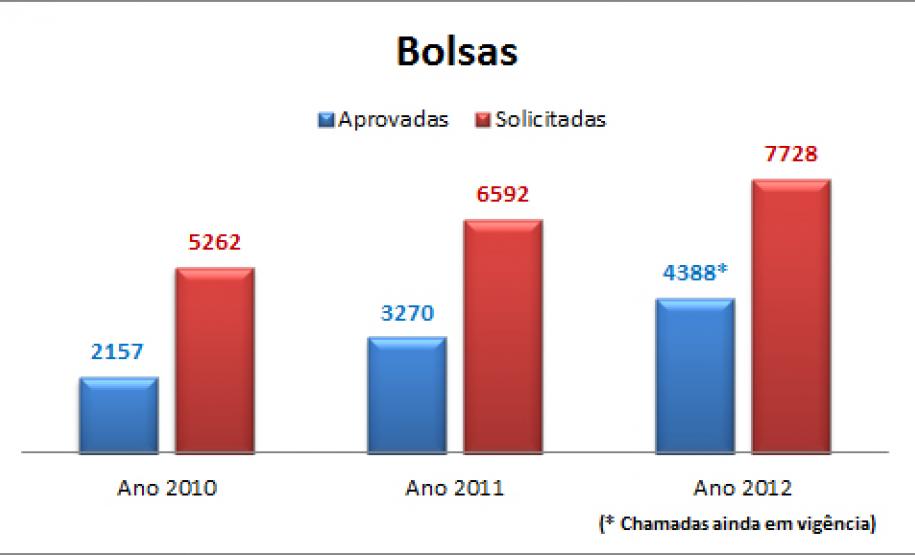 bolsas bolsas