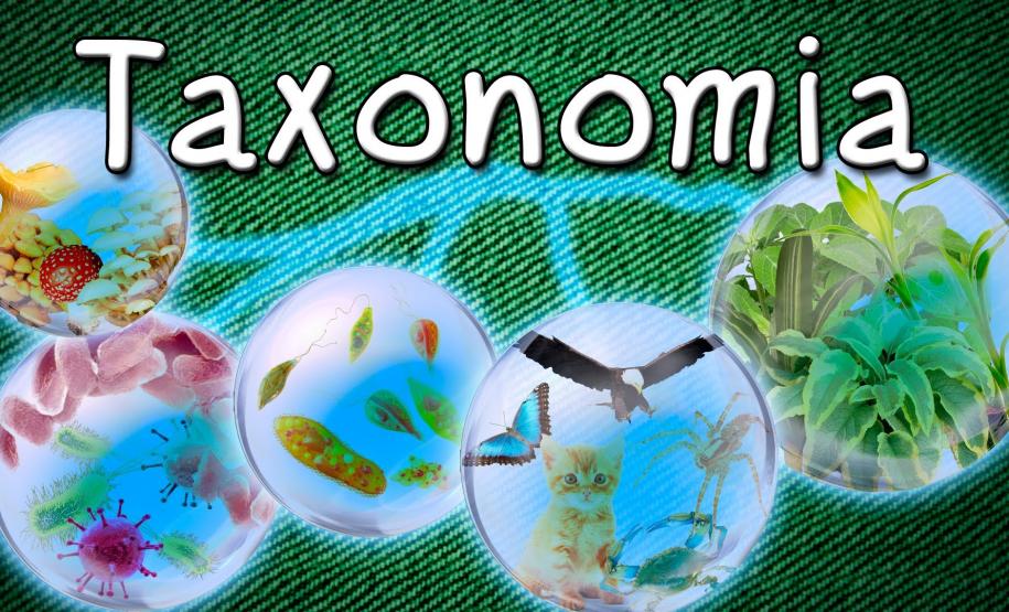 taxonomia taxonomia