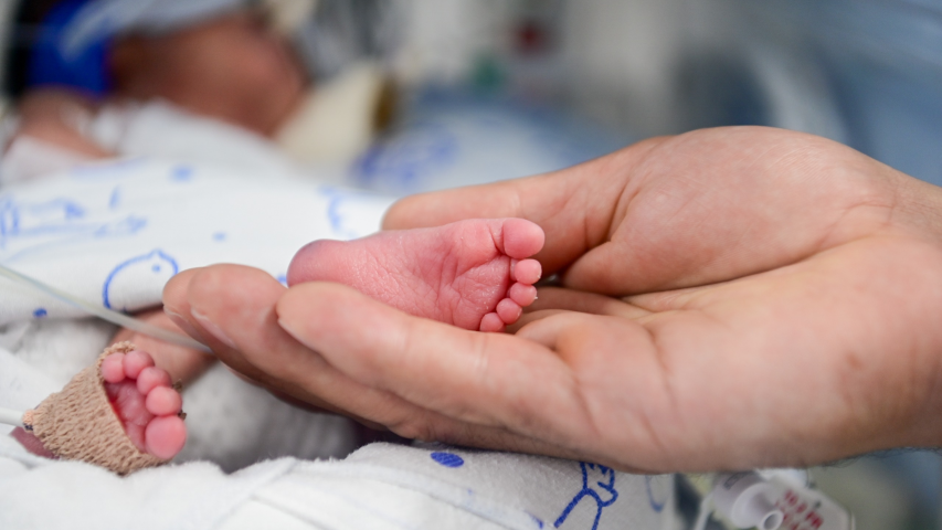 Sequenciamento Genético