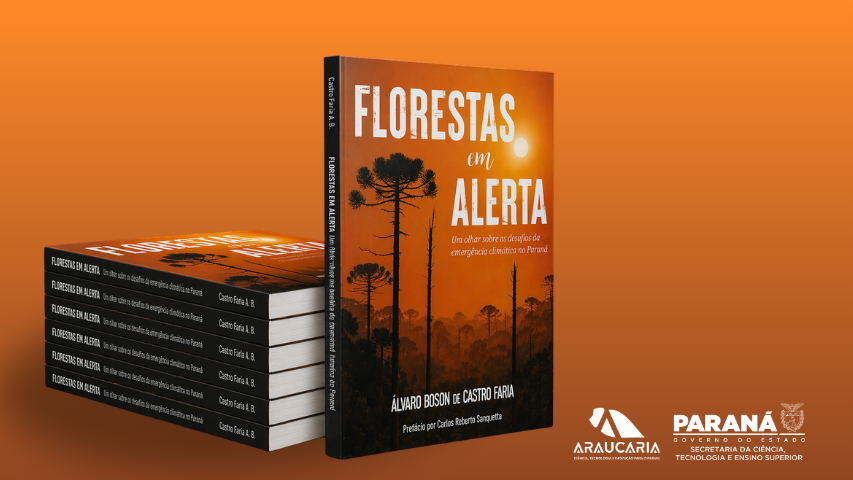 Florestas em alerta