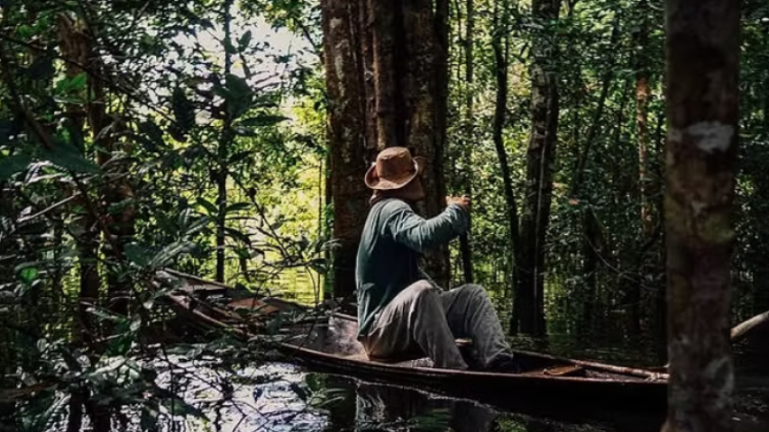 Amazônia +10